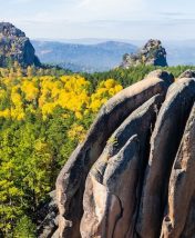 Что посмотреть в Красноярске: гид по столице Сибири