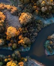 Достопримечательности Брянска: дебри, партизаны и Юрий Гагарин