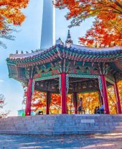 Гид по Сеулу: история, искусство и локальный движ