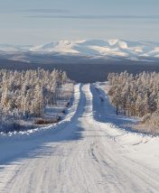 Ради чего стоит ехать в Якутию: алмазы, строганина, вечная мерзлота и «Ленские столбы»