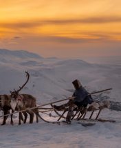 Полная перезагрузка на Ямале: 8 причин отправиться на Крайний Север