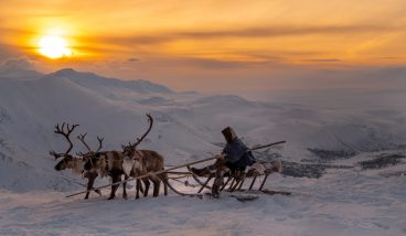 Полная перезагрузка на Ямале: 8 причин отправиться на Крайний Север
