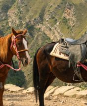 «Киберпонедельник» — отели со скидками до 60%