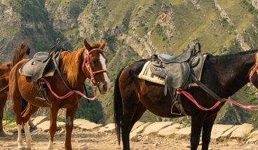 «Киберпонедельник» — отели со скидками до 60%
