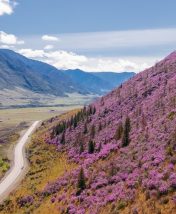 Куда поехать весной: 10 лучших мест для созерцания цветения