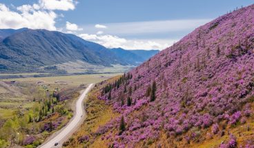 Куда поехать весной: 10 лучших мест для созерцания цветения