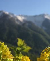 Не только лыжи: чем заняться в Красной Поляне весной и летом