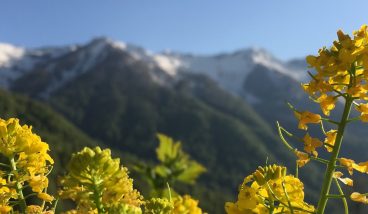 Не только лыжи: чем заняться в Красной Поляне весной и летом
