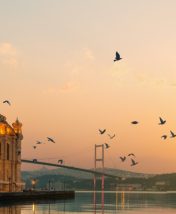 Небанальный Стамбул: 11 секретных мест для тех, кто уже видел всё