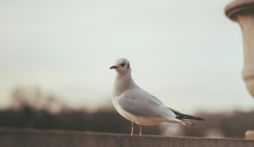 Париж без Эйфелевой башни: 7 секретных мест, о которых знают только местные