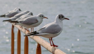 Природа Сочи в бархатный сезон: 10 лучших водопадов, каньонов и экотроп 2026 года