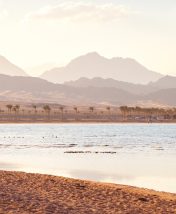Зимовка на Красном море: лучшие безветренные бухты Шарм-эш-Шейха