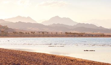 Зимовка на Красном море: лучшие безветренные бухты Шарм-эш-Шейха