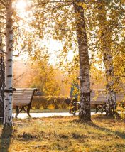 Тайная Москва: 10 секретных локаций и уютных книжных для осенних прогулок