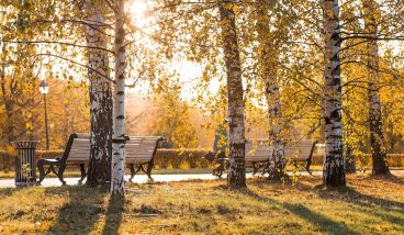 Тайная Москва: 10 секретных локаций и уютных книжных для осенних прогулок